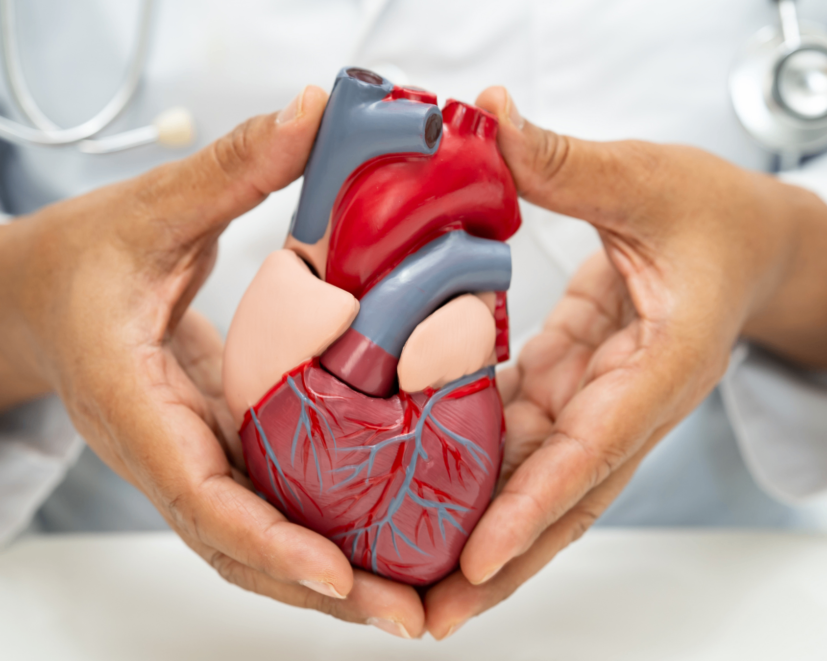 Cardiologie la clinica KindMedica din Brașov